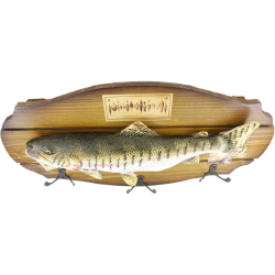 Закачалка за стена Риба на ниска цена от MaxShop